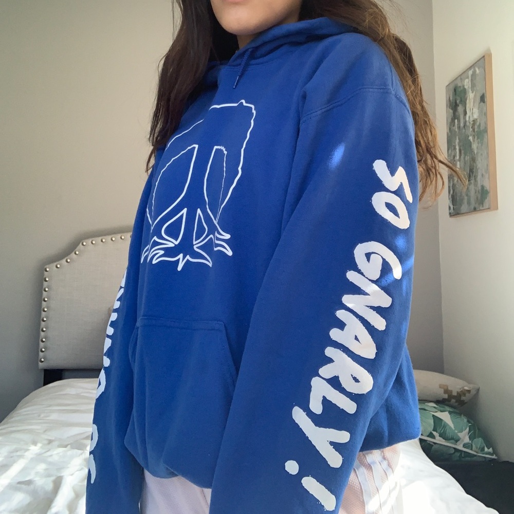 Blue hoodie